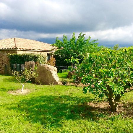 Clos Simoni Figari  Bagian luar foto