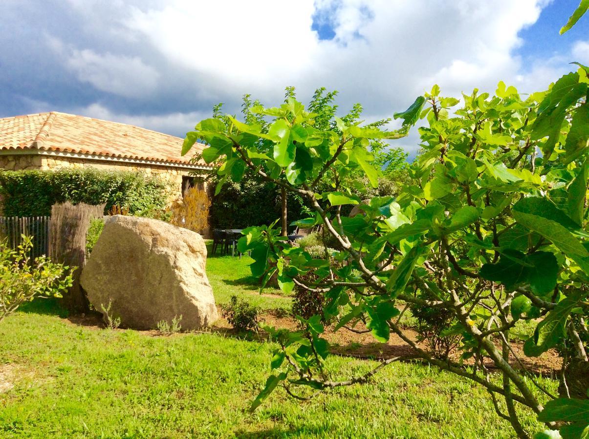 Clos Simoni Figari  Bagian luar foto